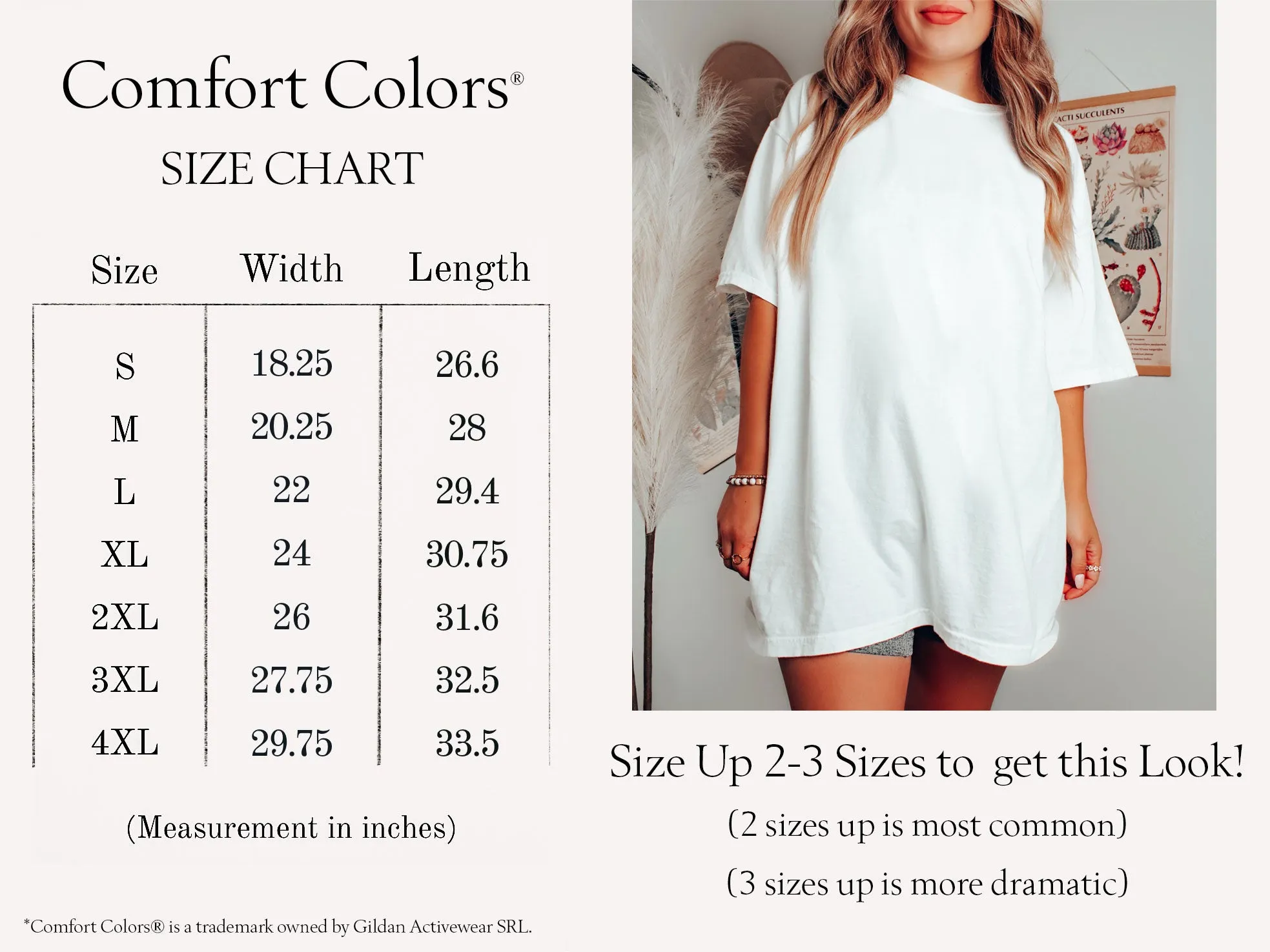 Butterfly Comfort Colors® Tshirt