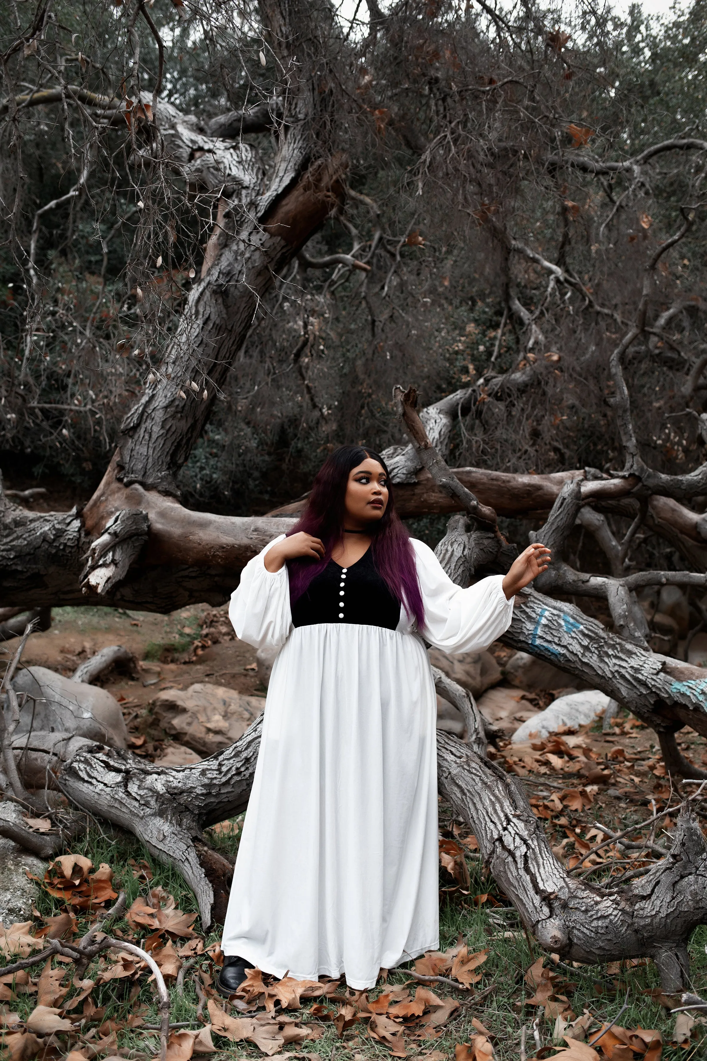 Edge of Seventeen Dress