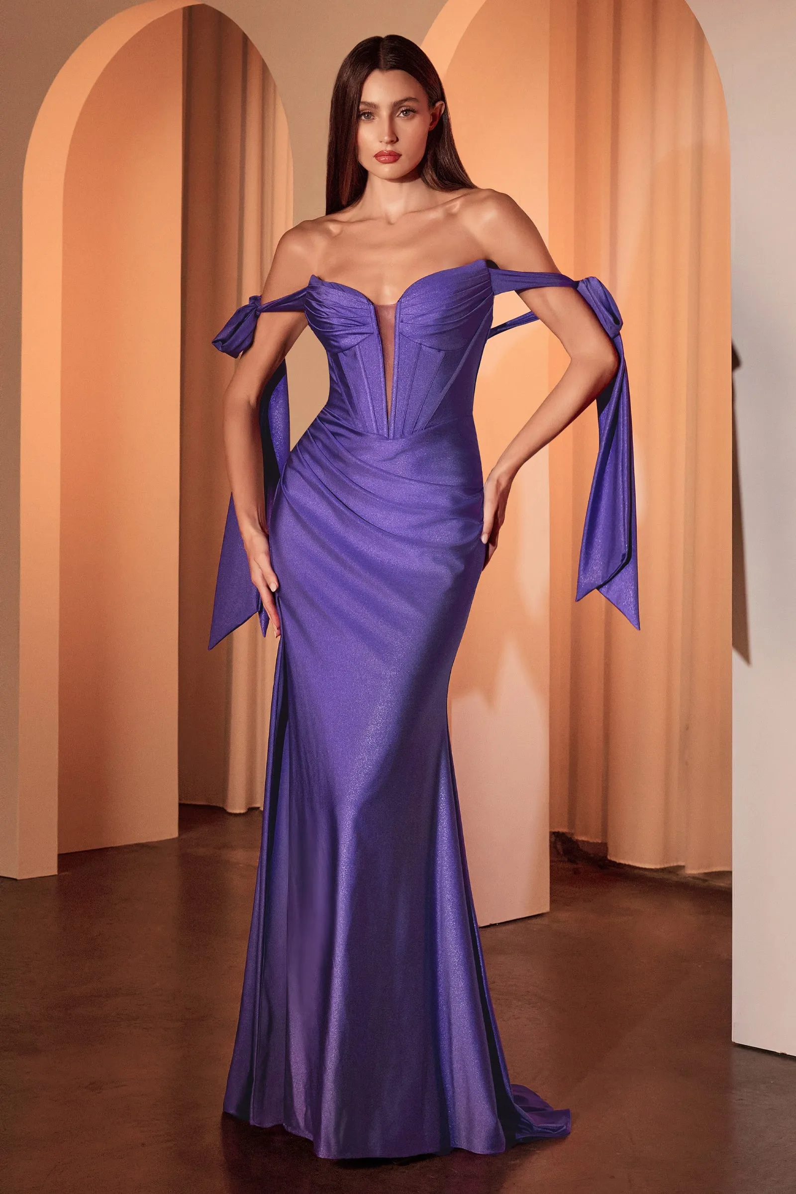Knightly Gown - Off-the-Shoulder Stretch Spandex Fitted Dress
