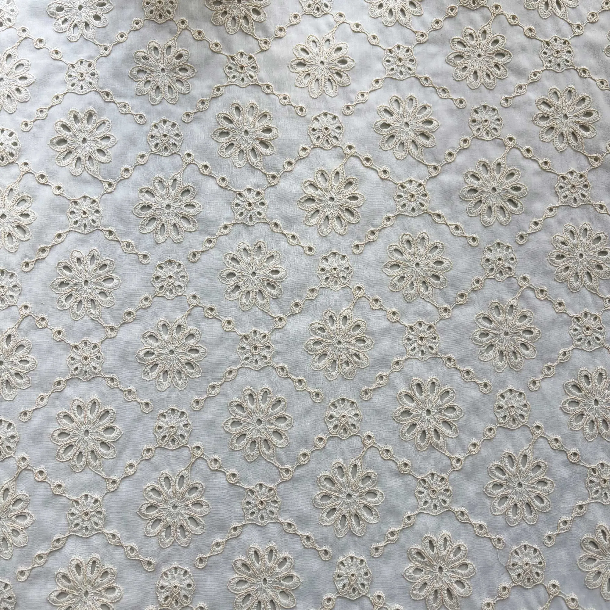 White Schiffli Embroidery Cotton Fabric DVT-23815